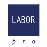 https://laborprosrl.com/wp-content/uploads/2021/12/logo.png 2x